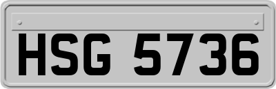 HSG5736