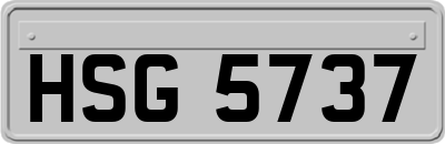 HSG5737