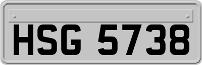 HSG5738