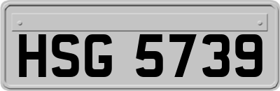 HSG5739