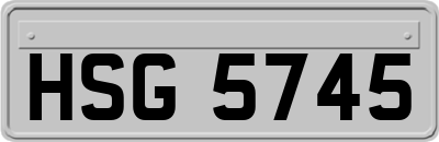 HSG5745