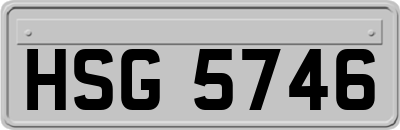 HSG5746