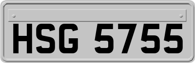 HSG5755
