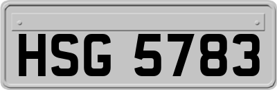 HSG5783