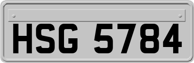 HSG5784
