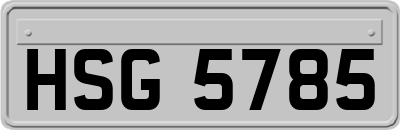 HSG5785