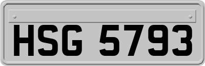 HSG5793