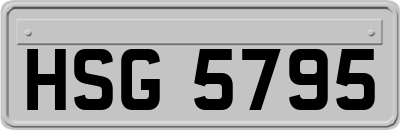 HSG5795
