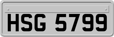 HSG5799