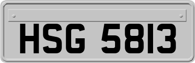 HSG5813