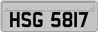 HSG5817
