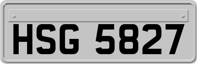 HSG5827