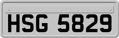 HSG5829