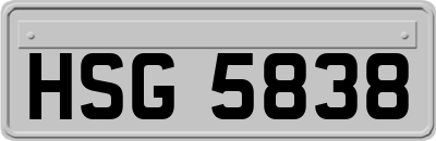 HSG5838