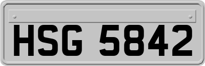 HSG5842