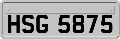 HSG5875