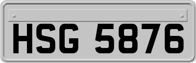 HSG5876