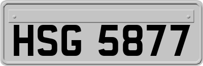 HSG5877