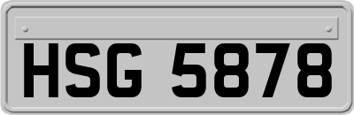 HSG5878