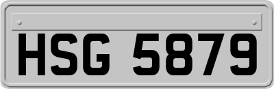 HSG5879