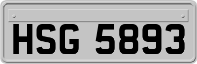 HSG5893
