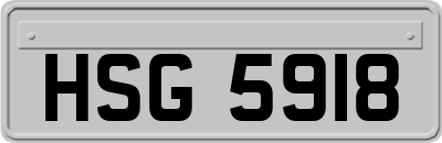 HSG5918