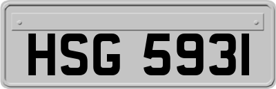 HSG5931