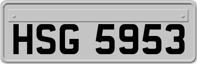 HSG5953