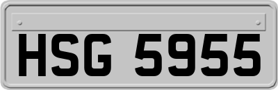 HSG5955