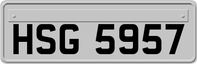 HSG5957