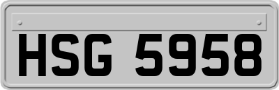 HSG5958