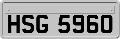HSG5960