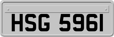HSG5961