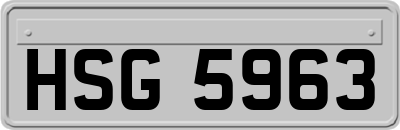 HSG5963