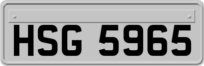 HSG5965