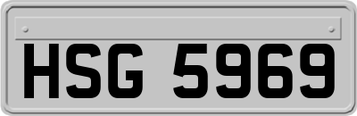 HSG5969