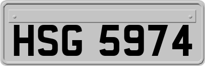 HSG5974