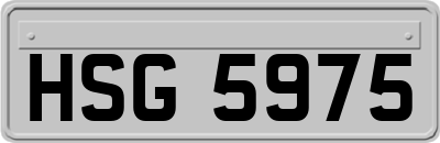 HSG5975