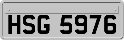 HSG5976
