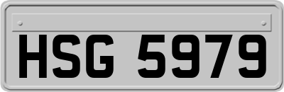 HSG5979