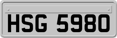 HSG5980