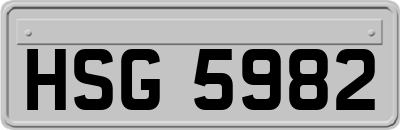 HSG5982