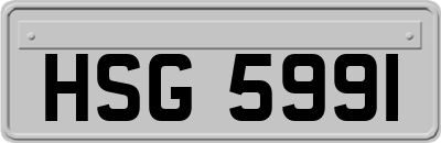 HSG5991