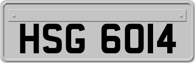 HSG6014