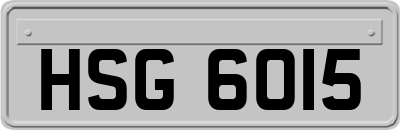 HSG6015