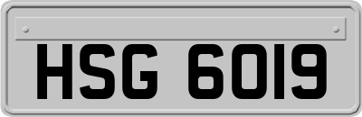 HSG6019