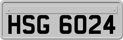 HSG6024
