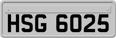 HSG6025