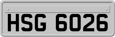 HSG6026
