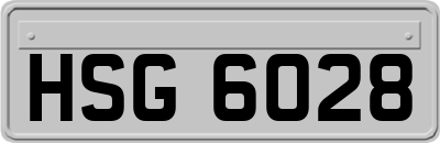 HSG6028
